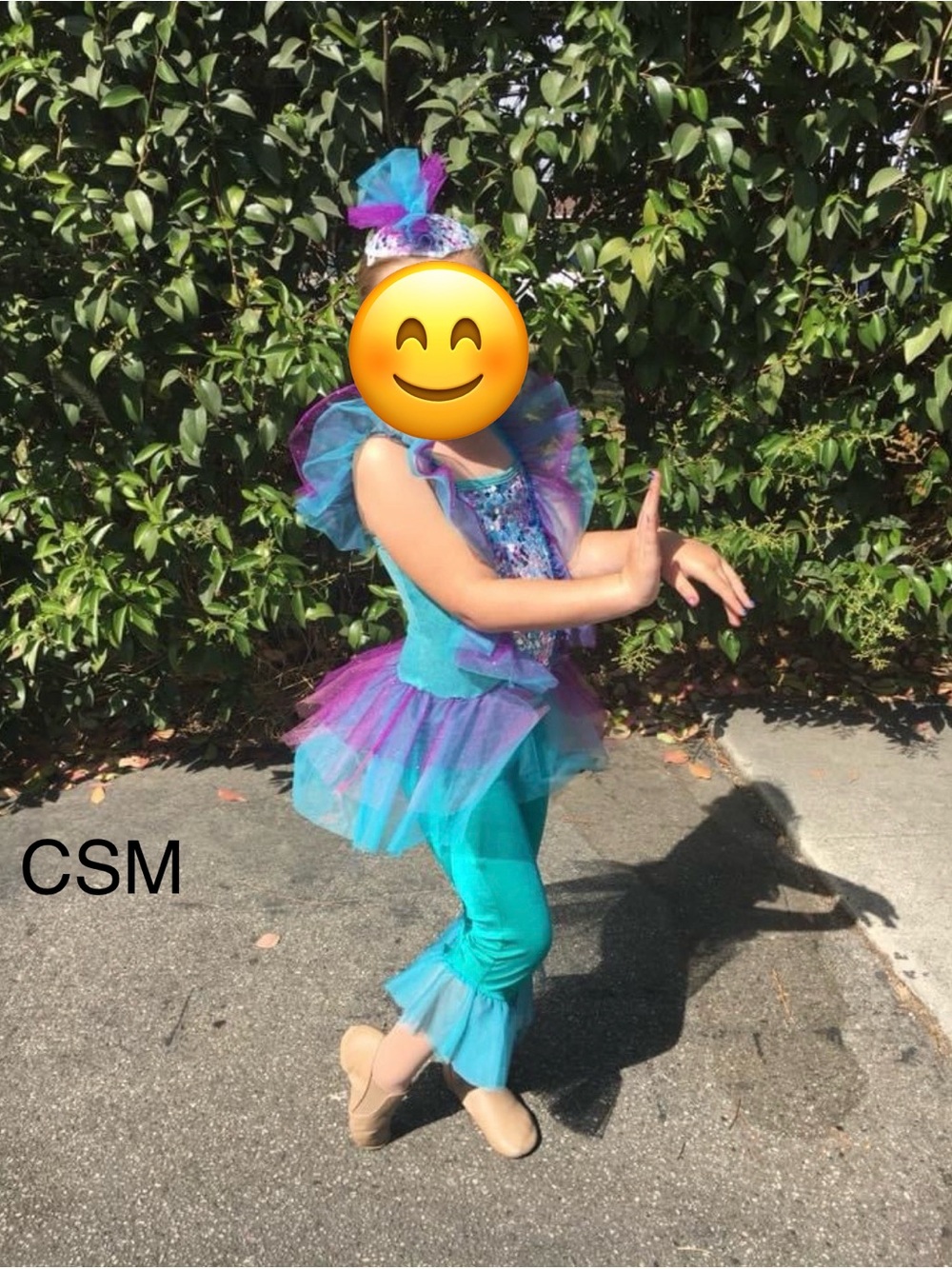 Girls Teal & Purple Sequin Tulle Ariel leotard and Pants included Size CSM